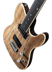Special Edition Custom Telecaster Spalted Maple HH
