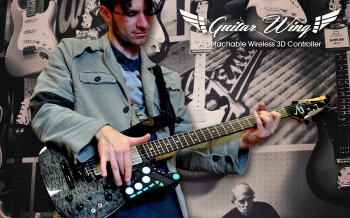 Guitar Wing