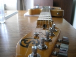 GuitarSib.ru GS-TL72